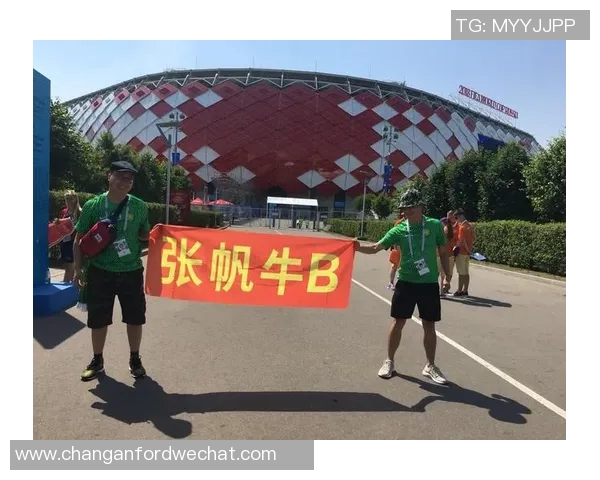 武汉乒乓球队勇闯世界杯的辉煌历程与奋斗精神