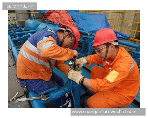 上海乒乓球队的力量与荣耀：聚焦乒乓球的奋斗与团结精神