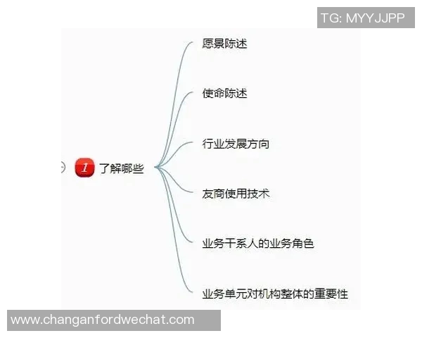 上海乒乓球队精英赛团队协作表现分析与启示 上海乒乓球队精英赛团队协作表现分析与启示