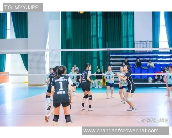 排球盛宴:深入南京排球队的训练与比赛节奏探秘 排球盛宴:深入南京排球队的训练与比赛节奏探秘