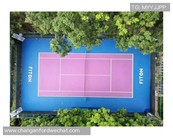 深圳网球队的蜕变之旅:从传统到现代的全新挑战与机遇 深圳网球队的蜕变之旅:从传统到现代的全新挑战与机遇