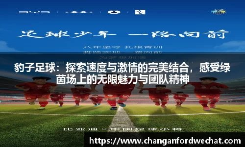 豹子足球：探索速度与激情的完美结合，感受绿茵场上的无限魅力与团队精神